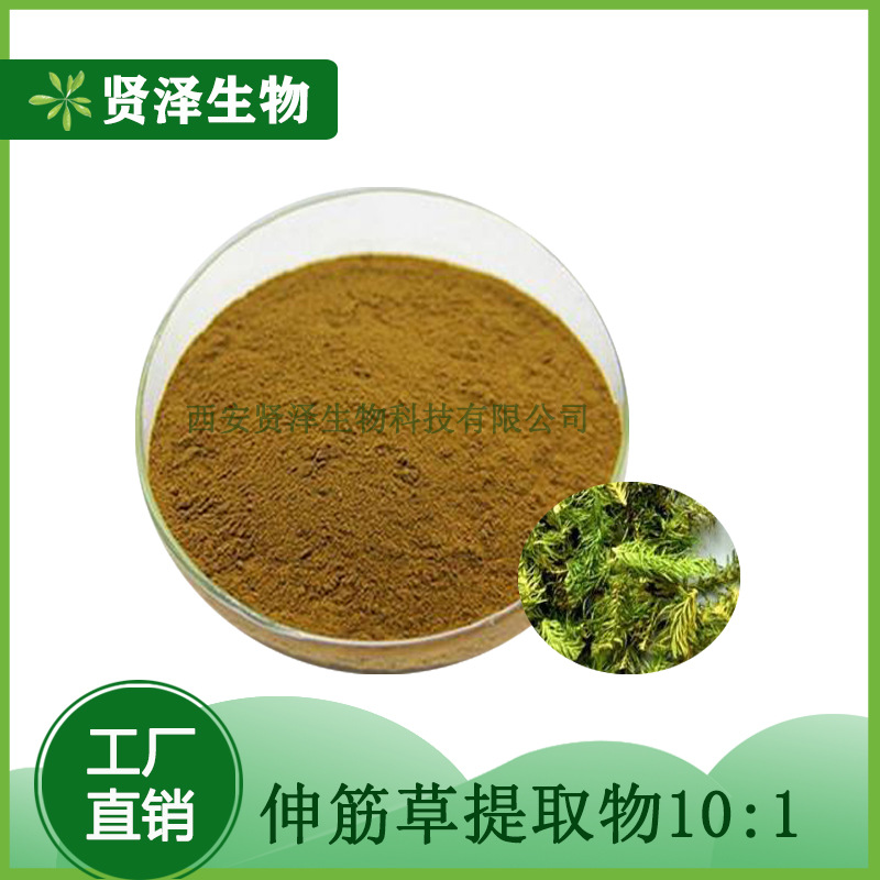 伸筋草提取物 10:1  伸筋草粉  松提取物  水溶速溶   贤泽生物