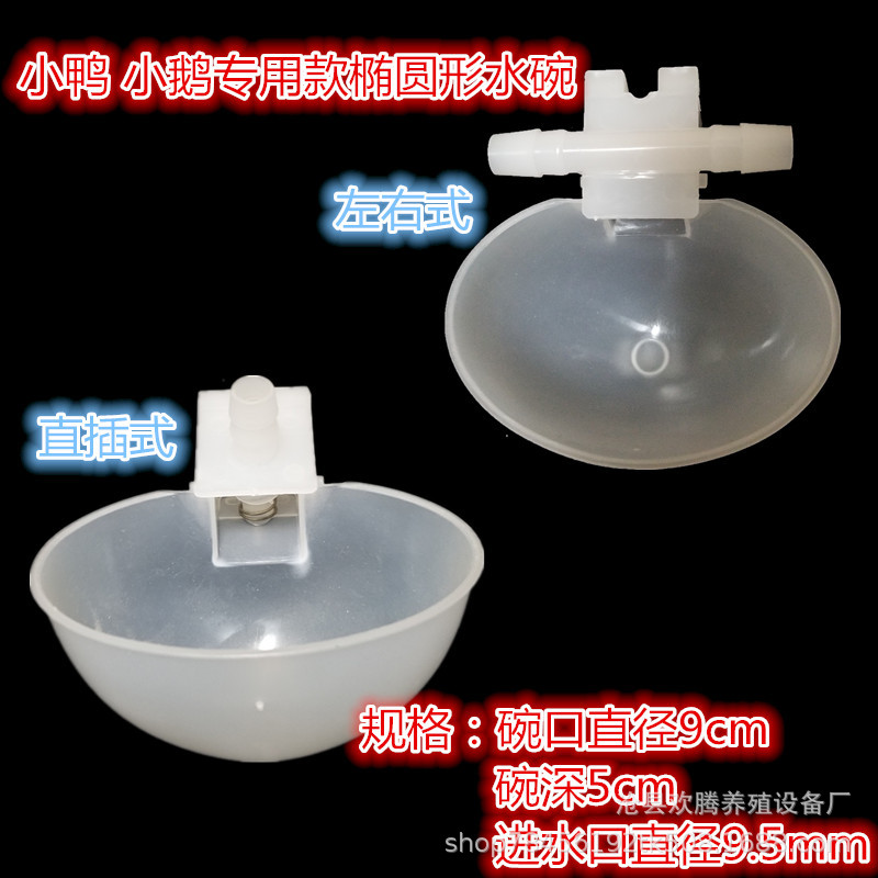 Paloma taza de agua fuente automática bebedero para beber paloma comedero huevo nido arena taza paloma suministros utensilios