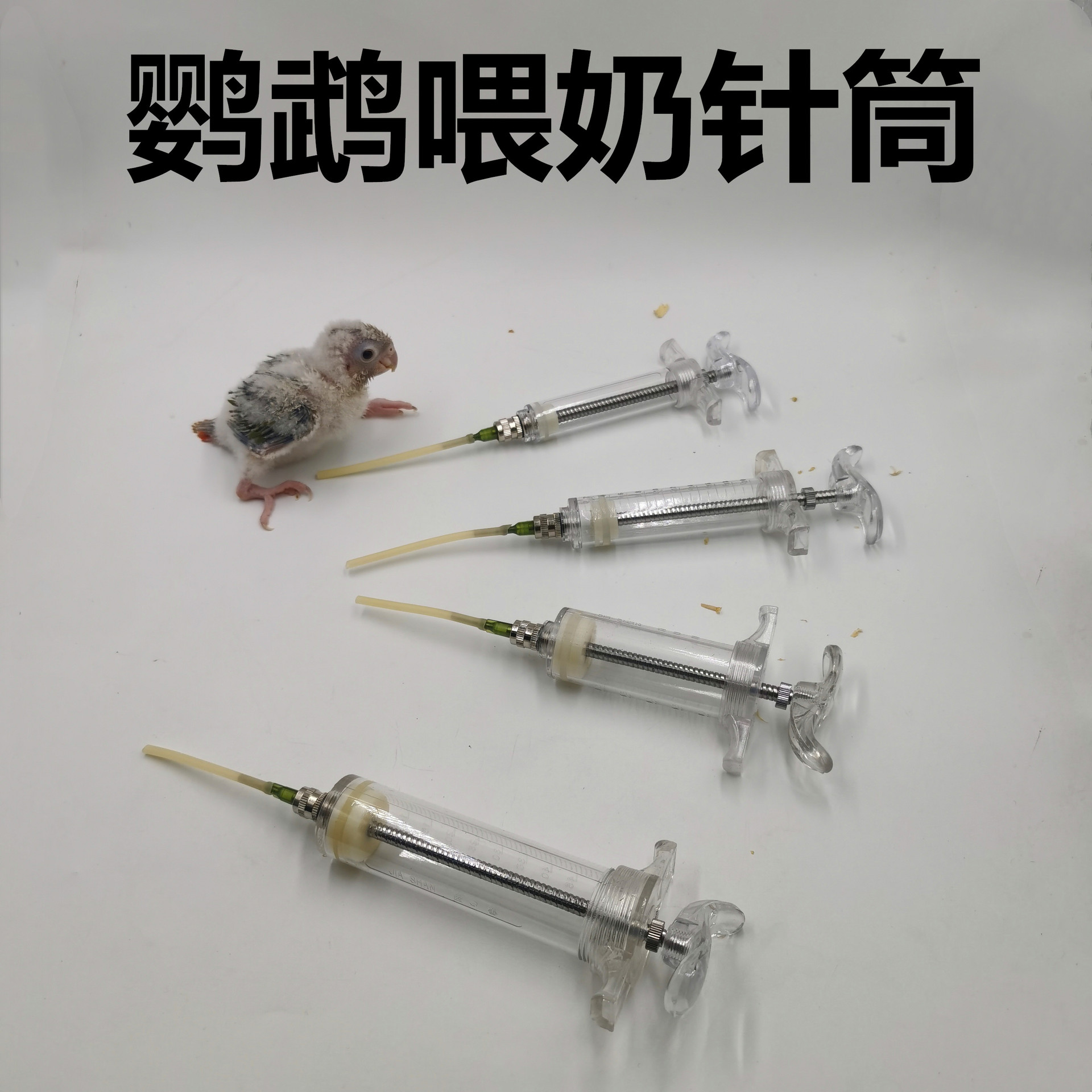 Parrot young bird feeder Hand -raising parrot feeder Parrot Bird…
