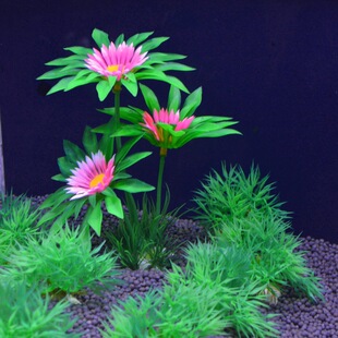 鱼芝景鱼缸造景水族仿真水草装饰塑料假水草布景海草植物批发