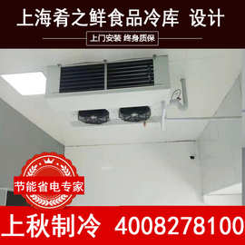 上海上秋低温速冻柜商用冷冻柜大容量海参榴莲急冻柜液氮速冻冰柜