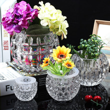 圆形水晶透明玻璃花瓶ins水养绿萝小豆芽金钱草茶几桌面摆件花盆