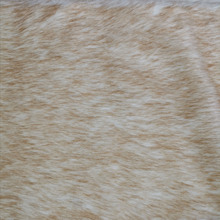 ��̫�S�����l����ëƤӡ����ëƤӡ��ëƤȾ��F؛�S�ұ���