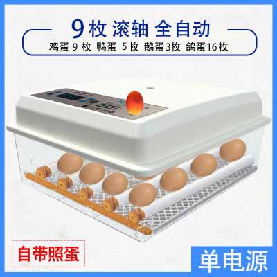 Incubadora de pollos al por mayor de comercio exterior, incubadora inteligente pequeña para el hogar, incubadora de huevos transfronteriza, incubadora de huevos inteligente