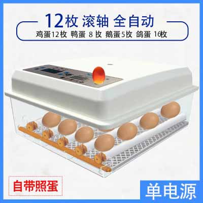 Incubadora de pollos al por mayor de comercio exterior, incubadora inteligente pequeña para el hogar, incubadora de huevos transfronteriza, incubadora de huevos inteligente