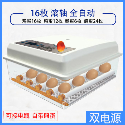 Incubadora de pollos al por mayor de comercio exterior, incubadora inteligente pequeña para el hogar, incubadora de huevos transfronteriza, incubadora de huevos inteligente