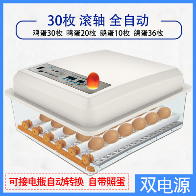 Incubadora de pollos al por mayor de comercio exterior, incubadora inteligente pequeña para el hogar, incubadora de huevos transfronteriza, incubadora de huevos inteligente