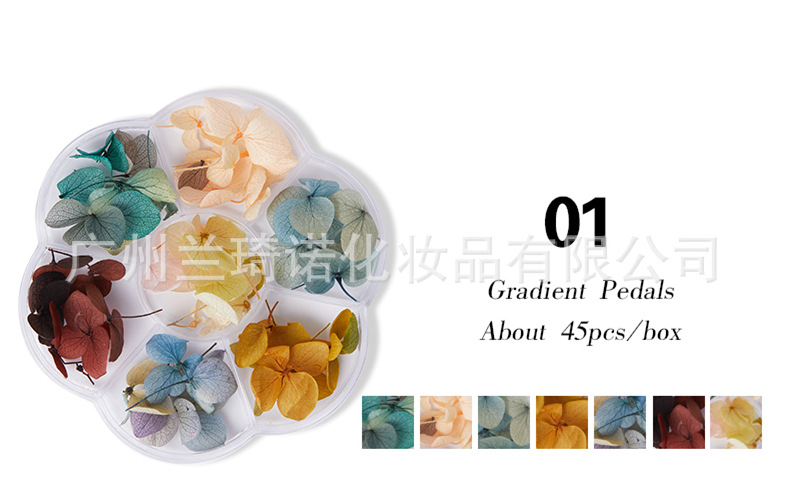 Transfronterizo nueva manicura flor seca Flor eterna de estilo japonés Ziyang flor gradiente de color manicura joyería calcomanías tres opcionales