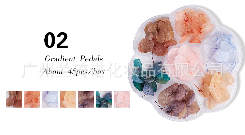 Transfronterizo nueva manicura flor seca Flor eterna de estilo japonés Ziyang flor gradiente de color manicura joyería calcomanías tres opcionales