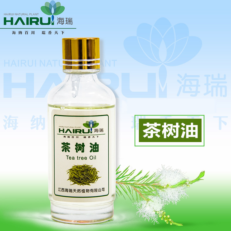 茶树油 互生叶白千层油 无色茶树油 植物提取单方精油 化妆品原料