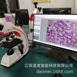 BMC533-ICCF无限远生物显微镜平场消色差相衬物镜科研级CCD摄像头