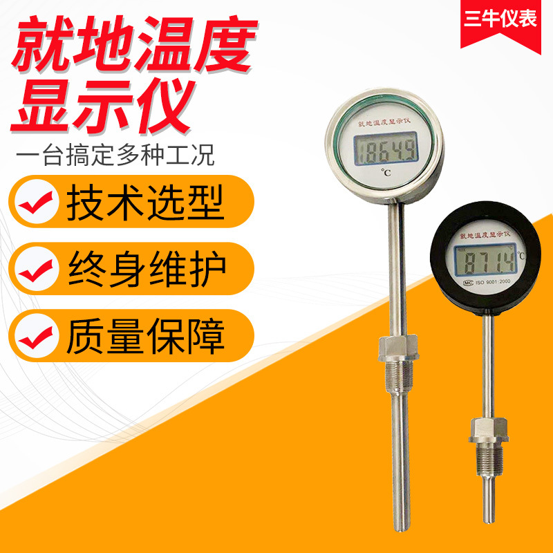 就地温度显示仪表防爆型数字显示不锈钢壳体电池供电PT100热电阻