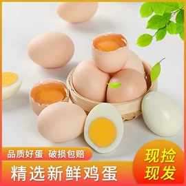 藕粉;莲子;皮蛋类