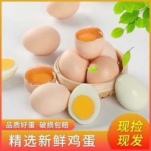 ɏ��x�u���r���rׯ�u�����u�a���o�����r�u������Zʳι�B40ö