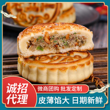 ʽŞVʽʽֹ﹝ͶYYʶɳ