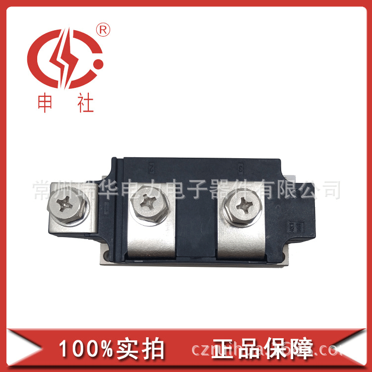 申社 常州瑞华 单三相整流全控半控桥臂模块MDC/A/K6002460
