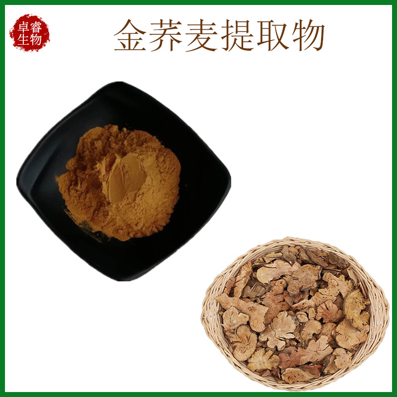 金荞麦提取物水溶金荞麦粉比例提取喷雾干燥多规格现货