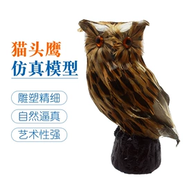 教学仪器;教学演示用品;烧杯、烧瓶