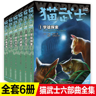 ؈��ʿ������ȫ6����С�W���n���8-12�q���꼉�n���������ͯ