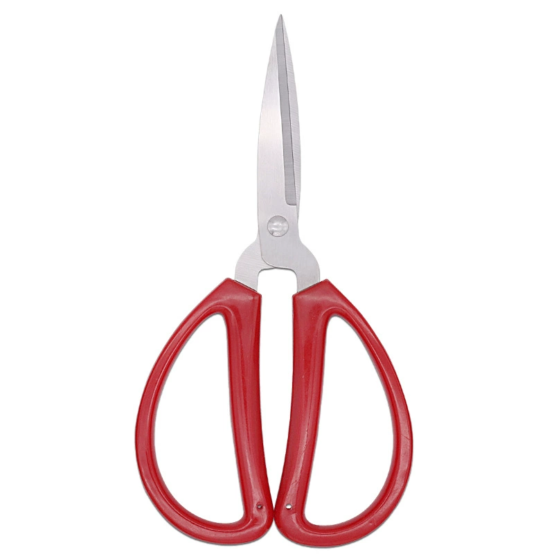 Scissors stainless steel reusable, (Physicals)