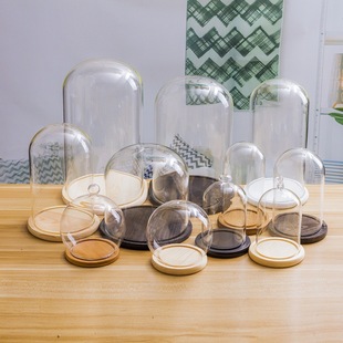 Eternal Flower Glass Cover Hand-made Building Blocks Blind Box Clay Dust Cover Simulation Flower Crafts Cylindrical Spherical Cover
