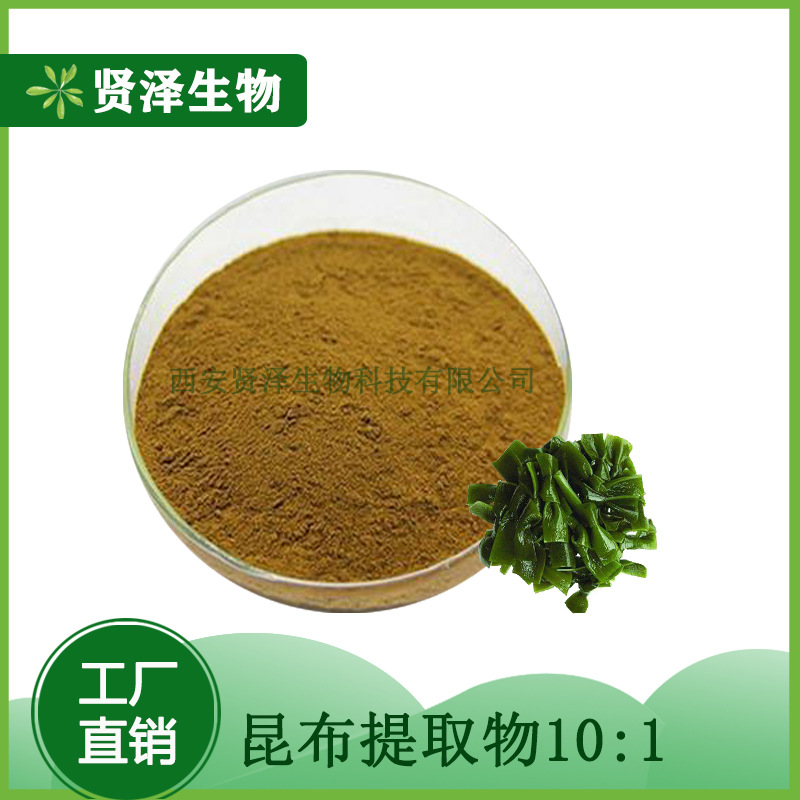 海带提取物10:1 昆布提取物  海带提取物粉 贤泽生物  现货供应
