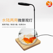 LED�~�ן�ľ���ˮ�ݟ�ֲ���a���ˮꑸ��a���ˮ�����