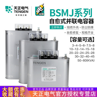 TENGEN Tianzheng BSMJ0.45kv трехфазный самовосстанавливающийся низковольтный компенсатор реактивной мощности параллельный силовой конденсатор 450 В