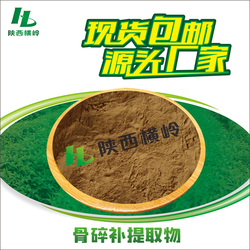 骨碎补提取物 30:1骨碎补粉 肉碎补/石岩姜提取物 植物骨碎补萃取