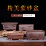爆款家用客厅跨境盆景盆