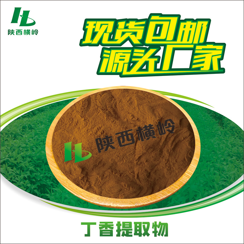 丁香提取物 30:1丁香粉 公丁香提取物 丁香酚 丁香花蕾萃取 包邮