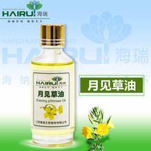 ��Ҋ���� &gamma;-�������� ��Ѳ��� ��Ҋ������Evening primrose oil