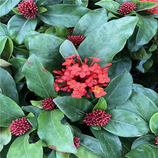 �������ܵ�·�G�����̵ر��� �^�~���� �^������ �������ɵ� ���l