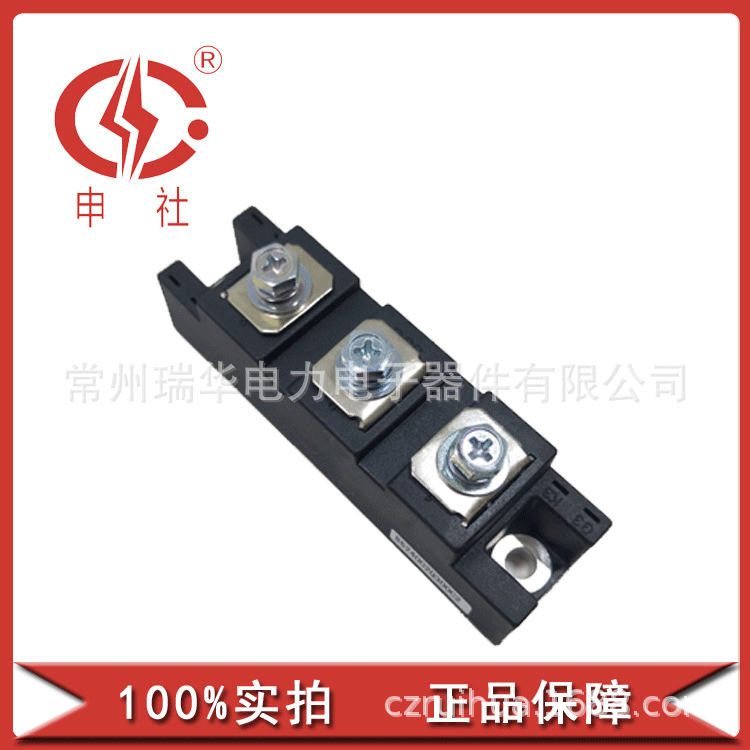申社  常州瑞华申社整流单三相桥臂桥堆电子模块MDC/A/K551624