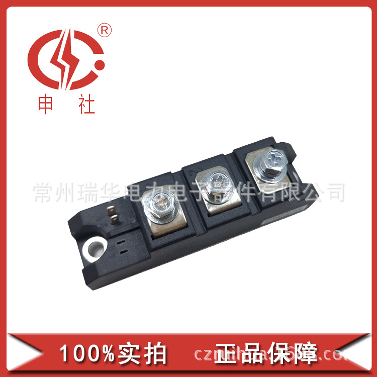 申社 常州瑞华 晶闸管/整流管桥臂模块MT/DK1101625B晶闸管模块