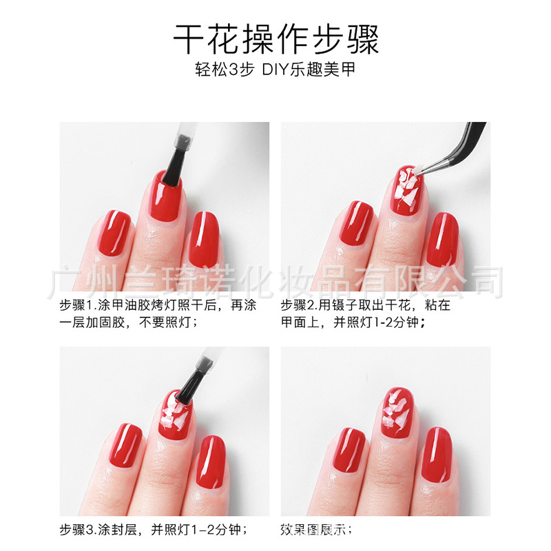 Transfronterizo nueva manicura flor seca Flor eterna de estilo japonés Ziyang flor gradiente de color manicura joyería calcomanías tres opcionales