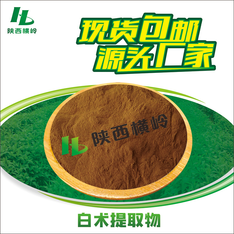 白术多糖 50:1高比例白术粉 白术提取物 厂家供应 炒白术提取物