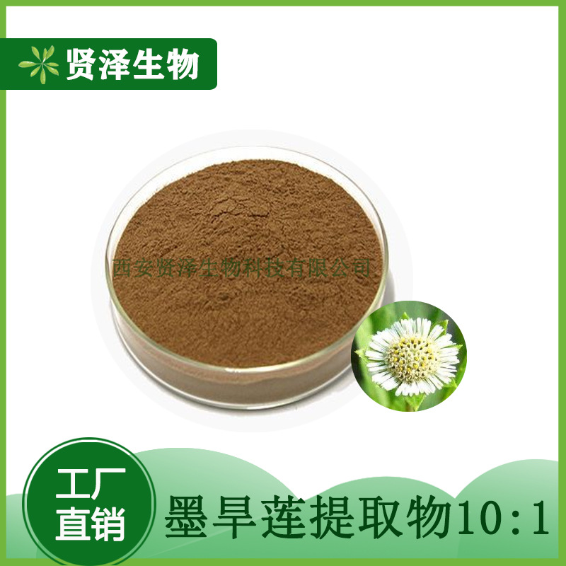 墨旱莲提取物10:1 多规格 旱莲 墨旱莲提取物 贤泽生物 现货供应