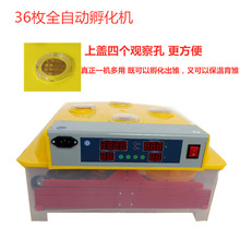 孵化机小型全自动孵蛋玩具出口款放36枚鸡蛋的鸡鸭鹅蛋112枚孵化