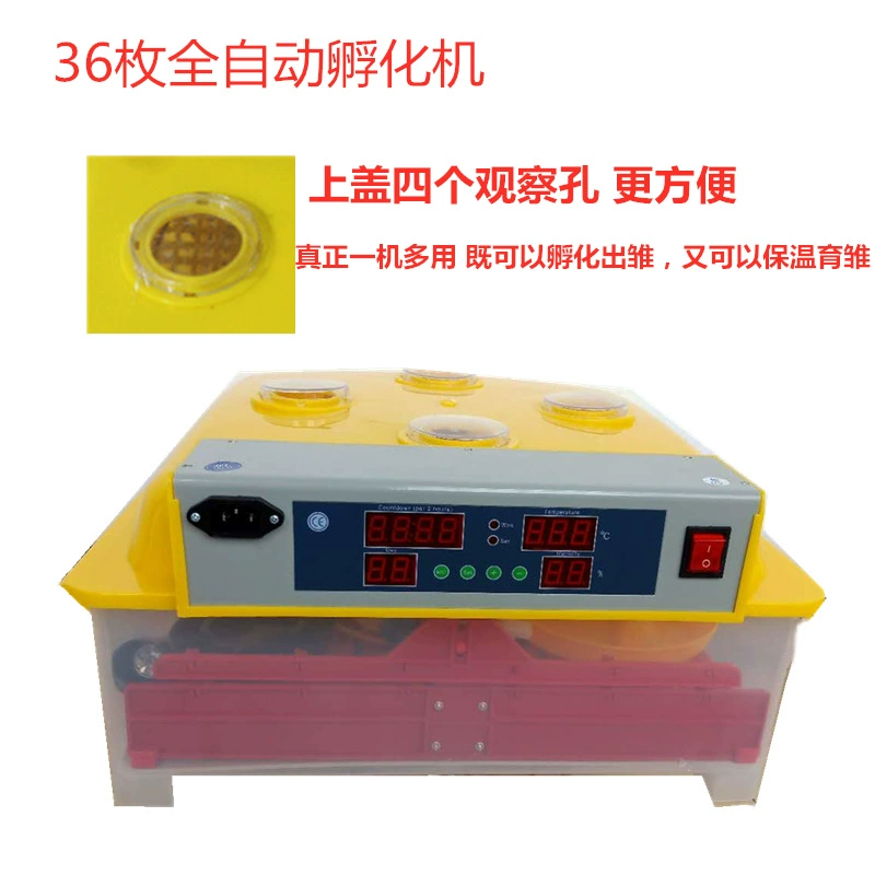 Инкубатор Маленькая полностью автоматическая игрушка для инкубации яиц Экспорт куриных, утиных и гусиных яиц с 36 яйцами 48 инкубаторов