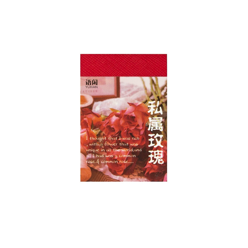 Печатные наклейки Qiqi серия DIY декоративные нашивки, 6 дизайнов, набор для бумажного творчества, 10 шт в упаковке