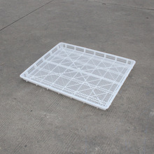 ֱ�����Ϻ��ʳƷ��ɱP 1008�W����濾�P���ϸɹ���ɱP�бP