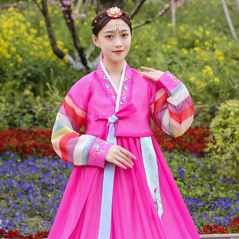 New Korean Clothing Family Embroidery Rainbow Sleeve Korean Women's Daily South Korea Palace Wedding Dress Performance Dance Dress