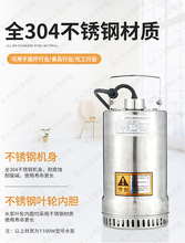 304�����Ǳˮ��ȫ�Զ�����С��220V��ˮ������ʴ��ˮλ��X20