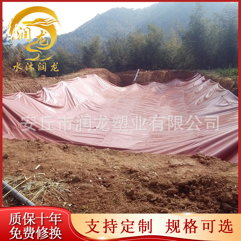 可定制沼气成套设备 新型沼气池 沼气储气柜 沼气罐