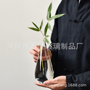 Japanese Zen glass vase with green plant and dried flower simple tea table decoration elegant study small flower holder