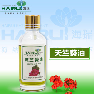 SC�S�����~�� ���ÿ��� ���~���ÿ��� õ�����ÿ��� �������ÿ���