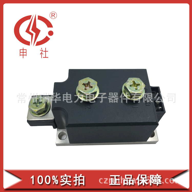 申社 常州瑞华厂家供应 晶闸管/二极管桥臂模块MT/DC2001650