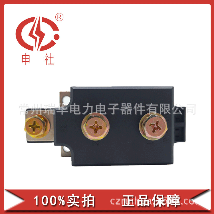 申社  常州瑞华 整流桥臂电子模块MDC/A/K3001650