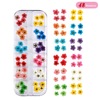 Set for manicure, hydrolate, nail stickers, Japanese fake nails, nail decoration, 12 colors, new collection